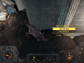 Fallout4 2015-11-29 22-43-13-30.png